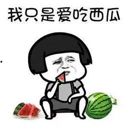 娱乐吃瓜一小时,一小时内吃尽瓜果盛宴